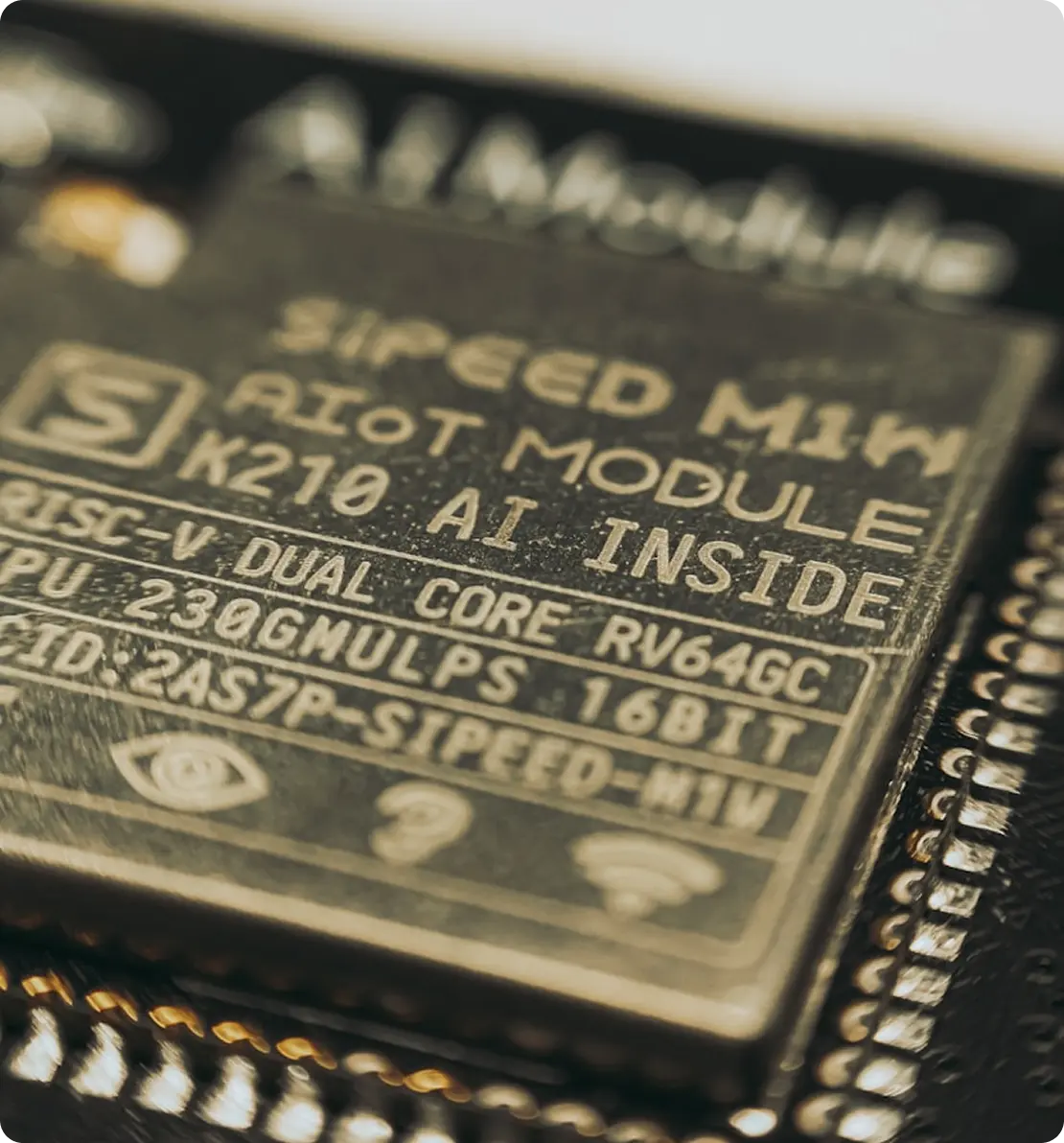 RISC-V SoC Verification Services